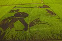 ogm greenpeace