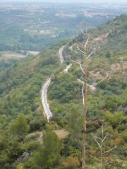 Gole di San Venanzio, in zona Raiano