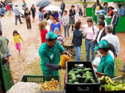 frutta verdura raccolta differenziata