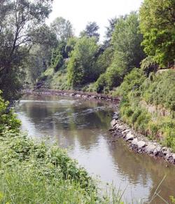 lambro fiume inquinamento petrolio